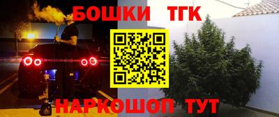 шишки Можга
