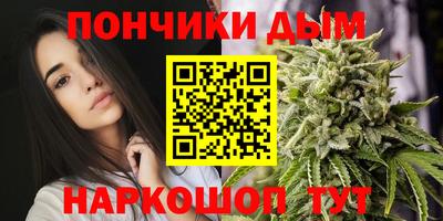 шишки Можга