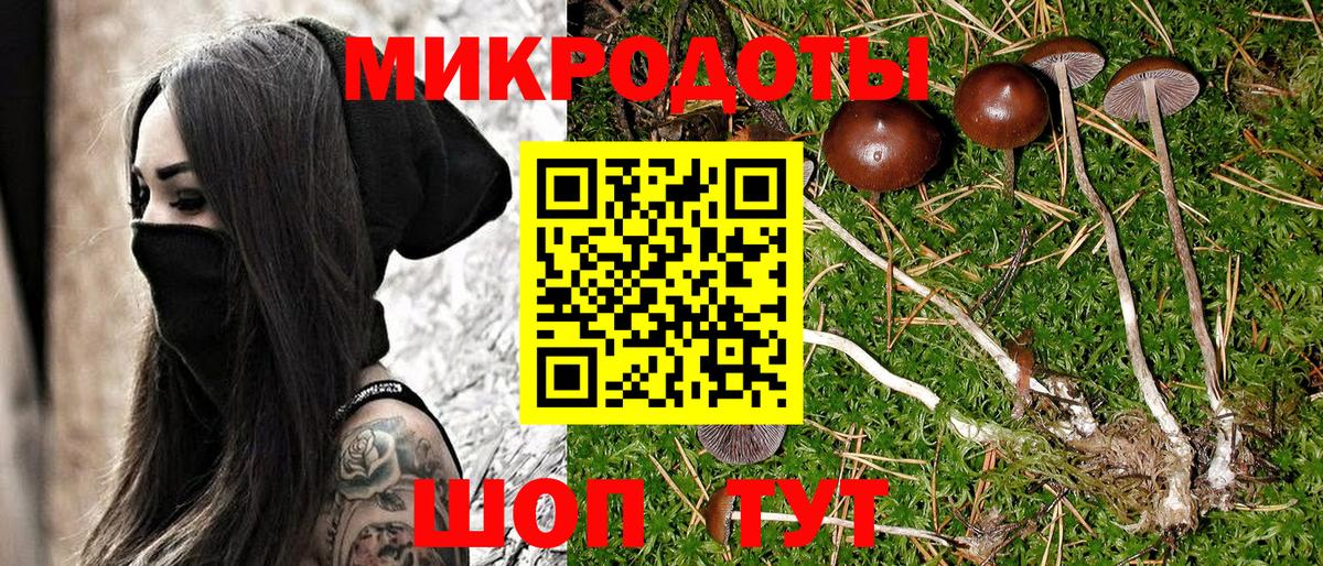 Псилоцибиновые грибы прущие грибы Тимашёвск